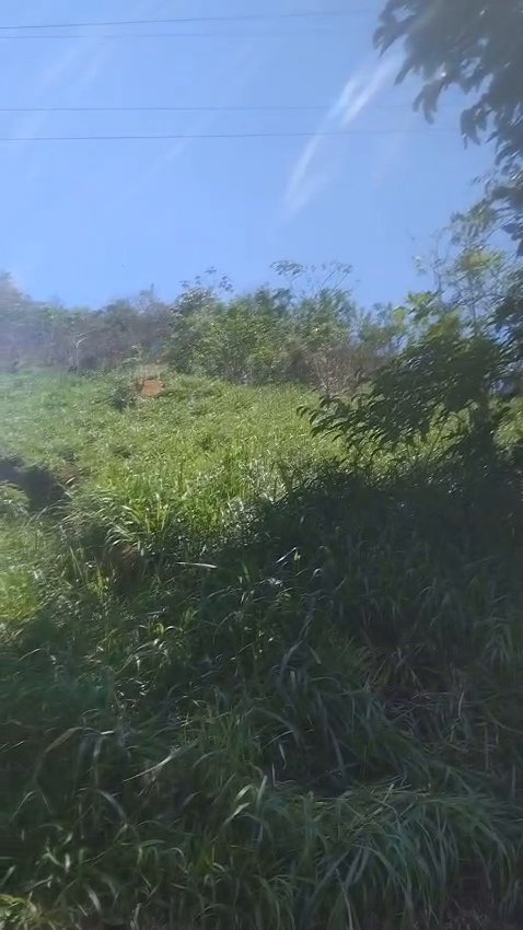 🌿 TERRENO COM 10.000 m² EM ANGRA DOS REIS  R$ 50 MIL! 🌿ACEITA UMA ENTRADA E PARCELA O RESTO   24992030839