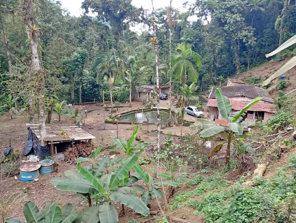 🌿 CHÁCARA À VENDA NO BRACUÍ  ANGRA DOS REIS   💰 R$ 260.000